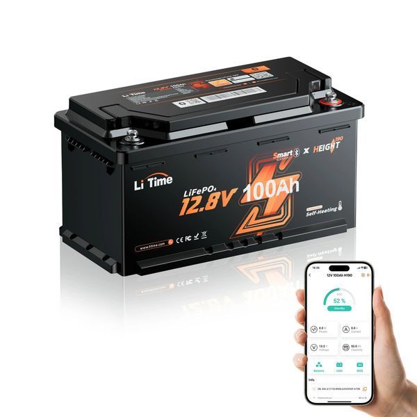 Акумуляторна батарея LiTime LiFePO4 12V 100Ah H190 38069/10 фото