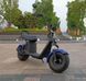 Електроскутер Citycoco Connect 2-колісний 2000W 60V 20A (C 022) TIRE 8 двомісний 37020 фото 2
