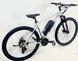 Електровелосипед DYNA 29" (750W 48V 21Ah) NEW ЕВ-750-48-21 D-27 фото 1